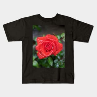 Wet Red Rose in Light Photographic Image Kids T-Shirt